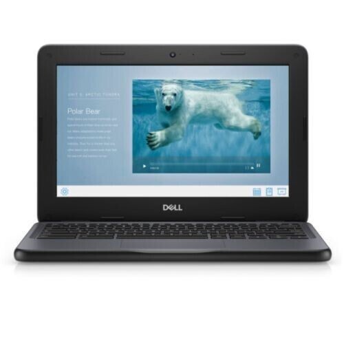 Dell Chromebook 3100 laptop