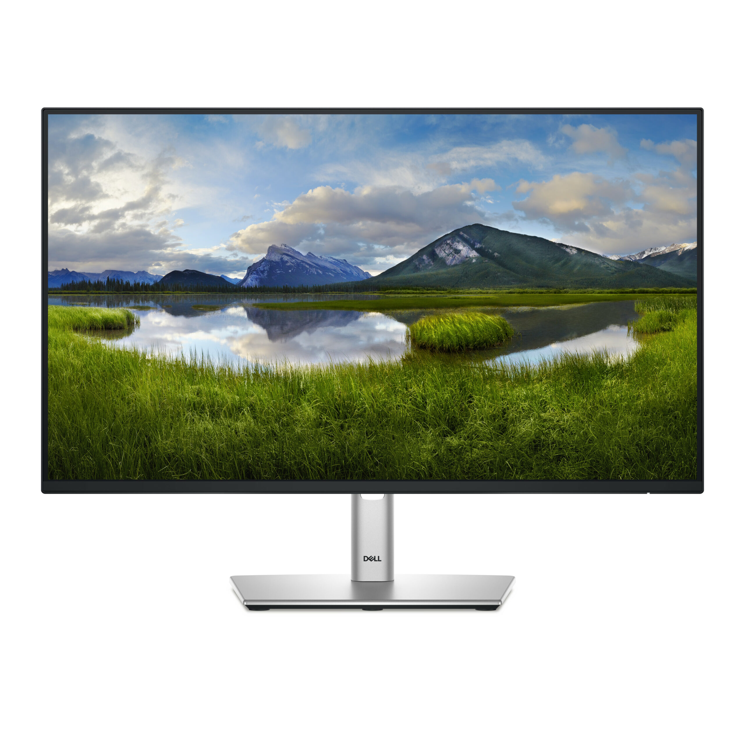 DELL Pro Plus P2425H Monitors with, RAM and storage